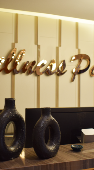 Wellness Palace Spa