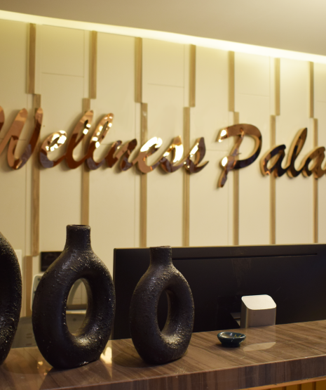 Wellness Palace Spa